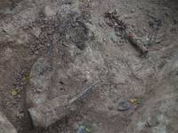   &raquo; Click to zoom ->