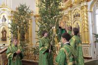   &raquo; Click to zoom ->