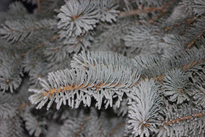   &raquo; Click to zoom ->